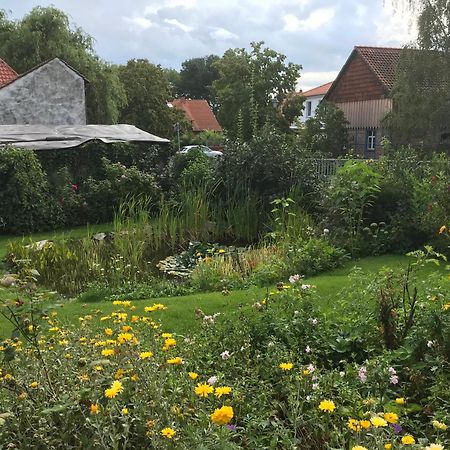 Schoene Gemuetliche Ferienwohnung Mit Kamin II Im Harz Darlingerode المظهر الخارجي الصورة