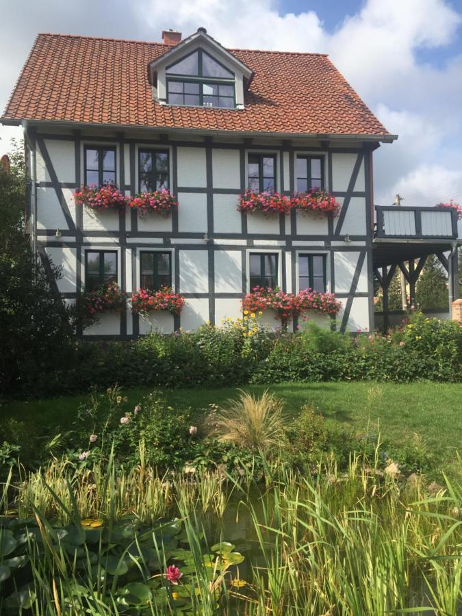 Schoene Gemuetliche Ferienwohnung Mit Kamin II Im Harz Darlingerode المظهر الخارجي الصورة