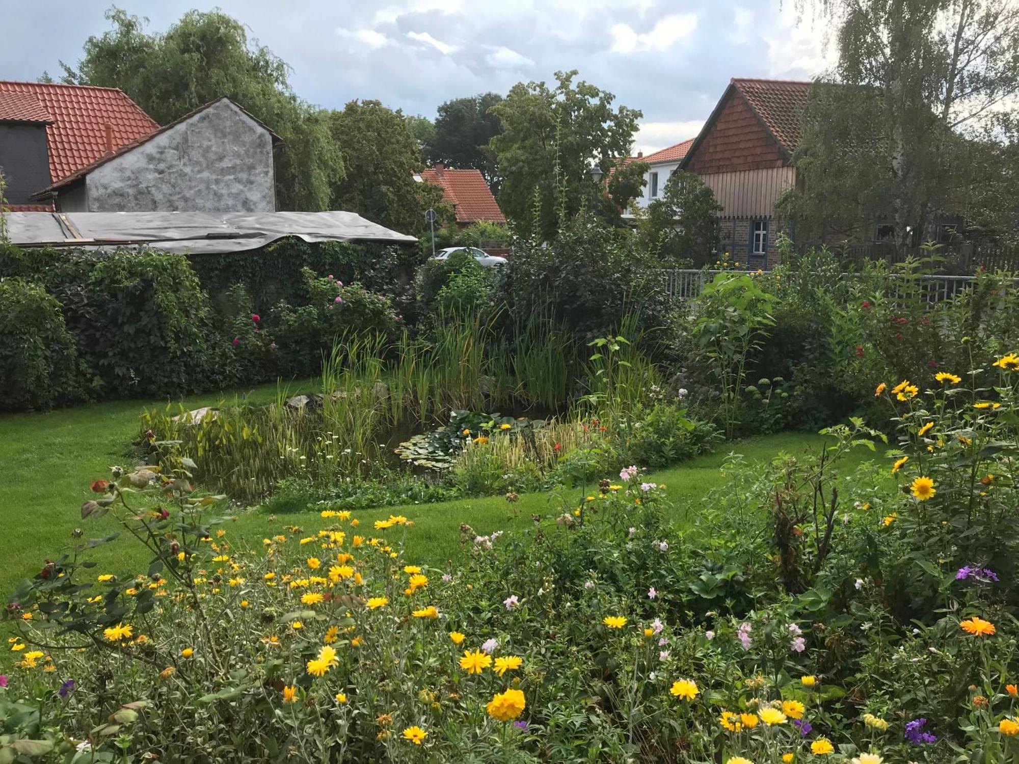 Schoene Gemuetliche Ferienwohnung Mit Kamin II Im Harz Darlingerode المظهر الخارجي الصورة